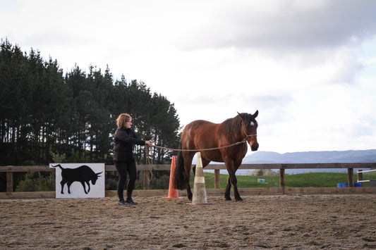 Our June Horsemanship Clinic