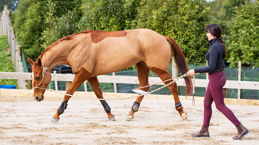 Why groundschooling your horse is an exercise in mindfulness