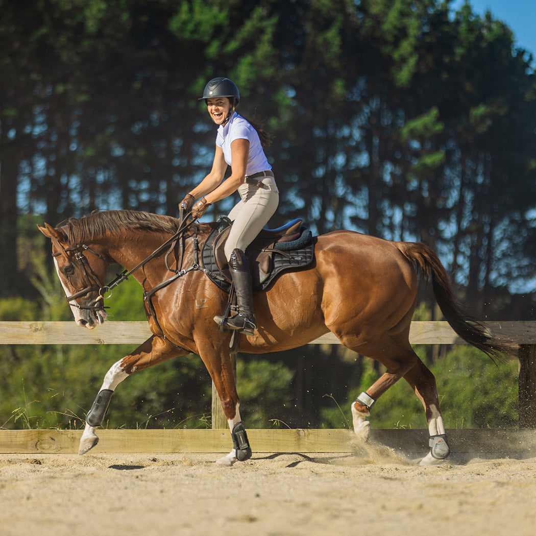 Flatwork training session at Te Rangi Equestrian