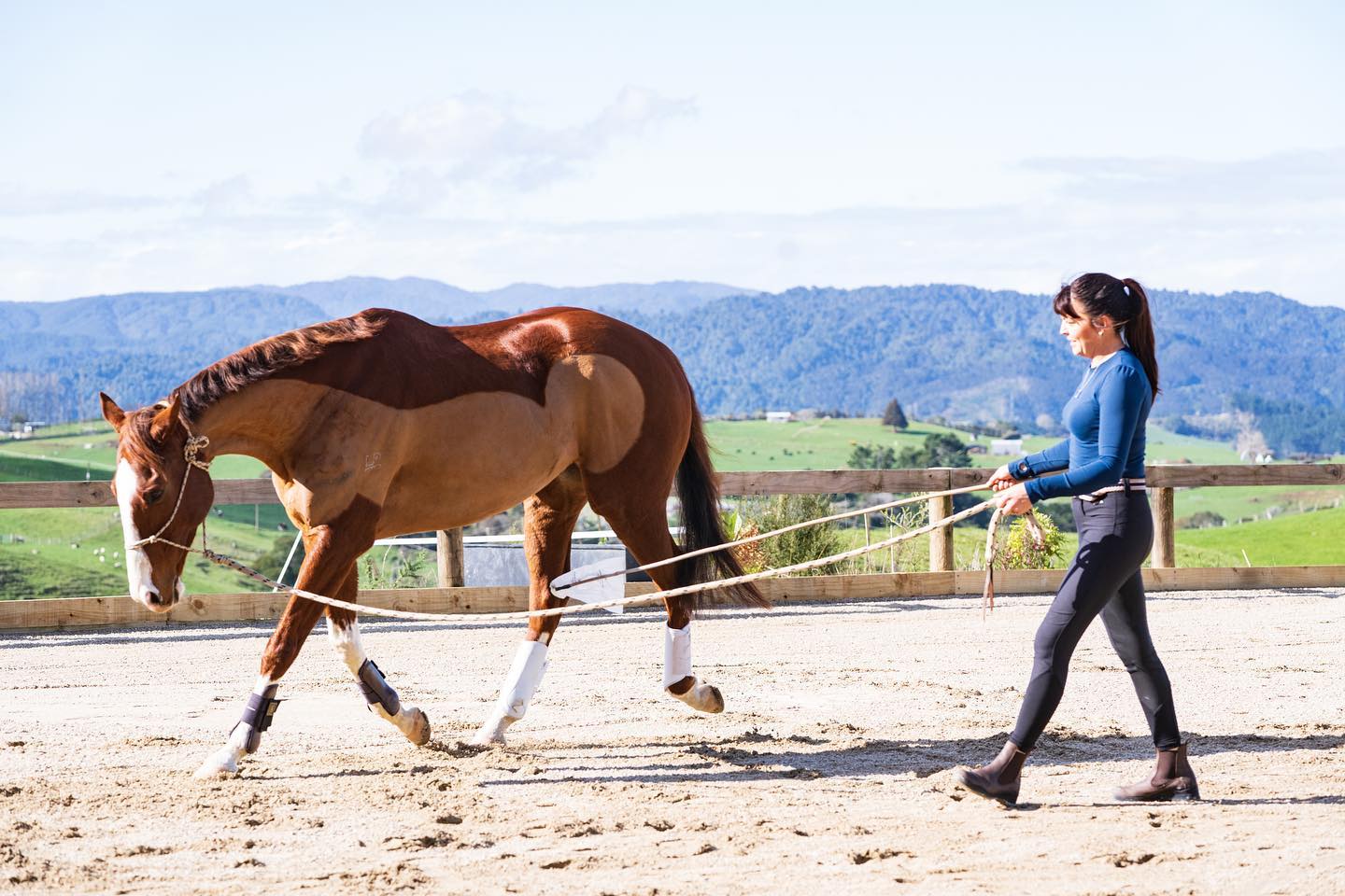 Horsemanship Lesson