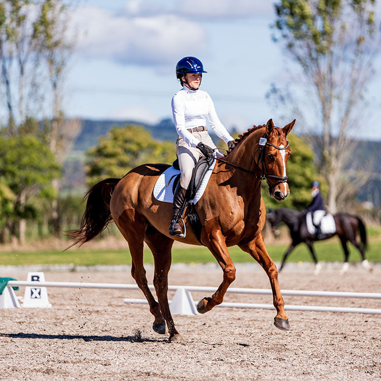 Winter Horsemanship Clinic - Saturday 7 June