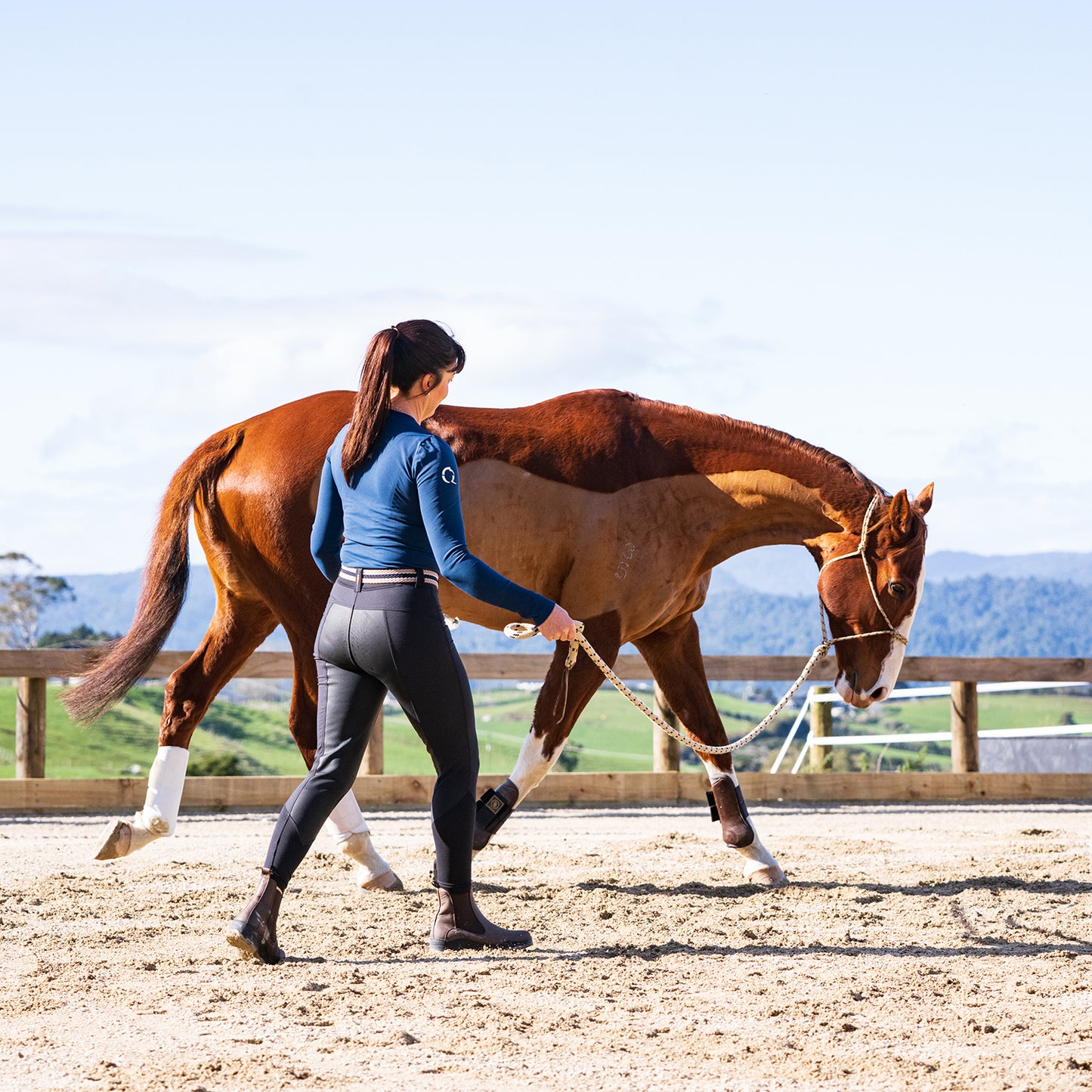 Horsemanship & Rider Biomechanic Clinic - Sunday 21 April - Wairoa Lodge