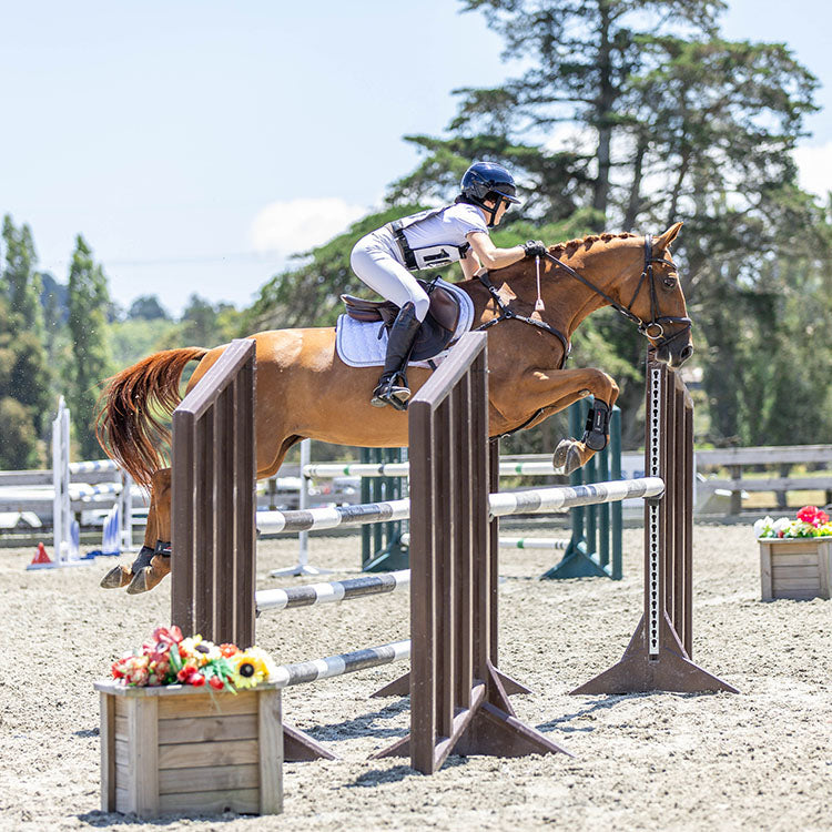 Combo Lesson - Horsemanship & Riding