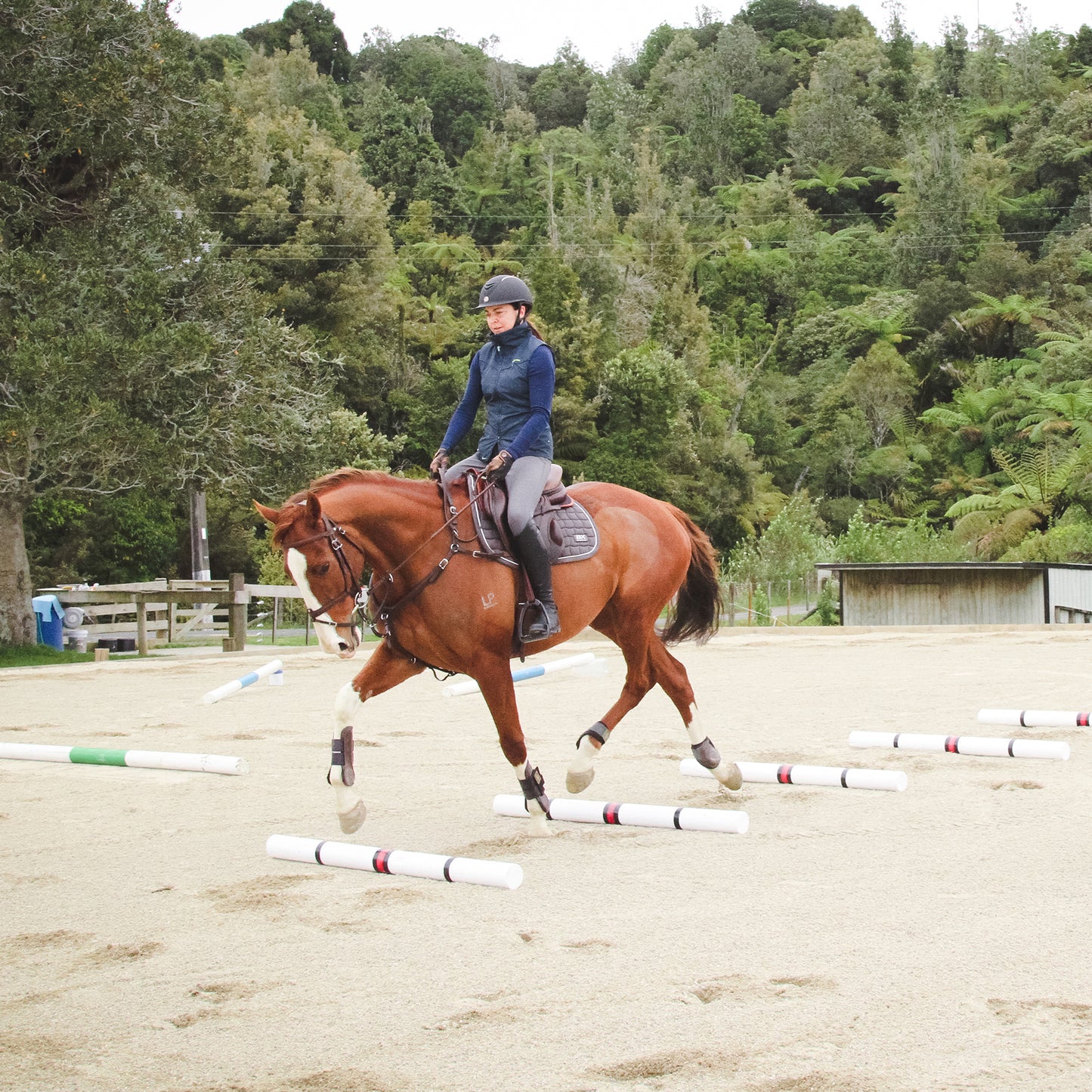 Jump + Pole Lessons