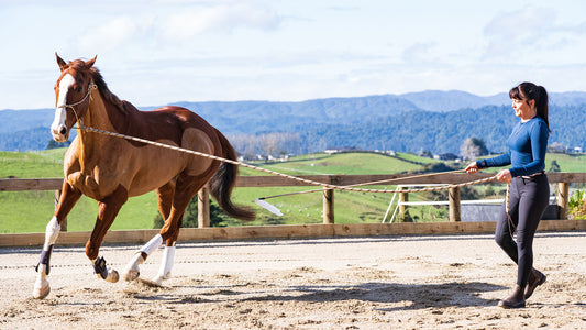 Some thoughts on the value of connecting ground schooling to ridden work.