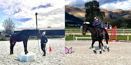 Musings after our June horsemanship clinic