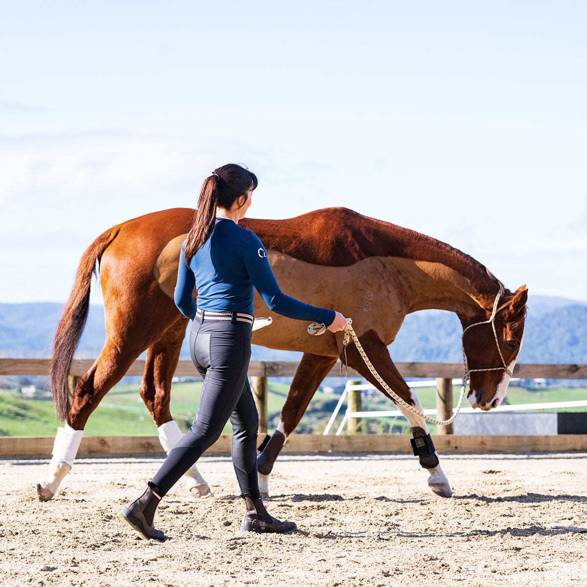 Horsemanship