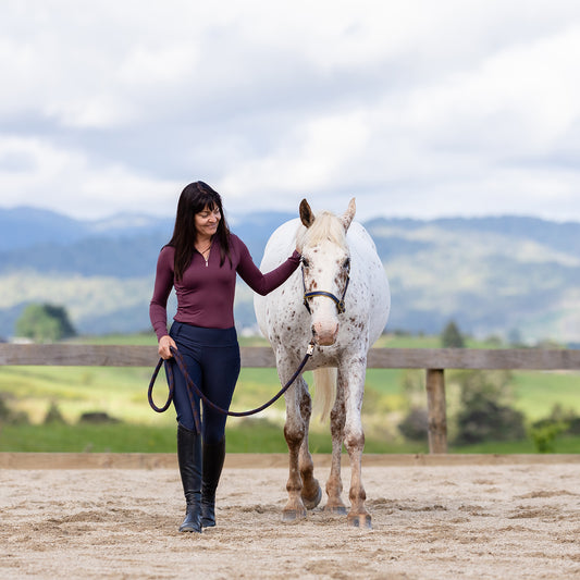 Horsemanship Lesson