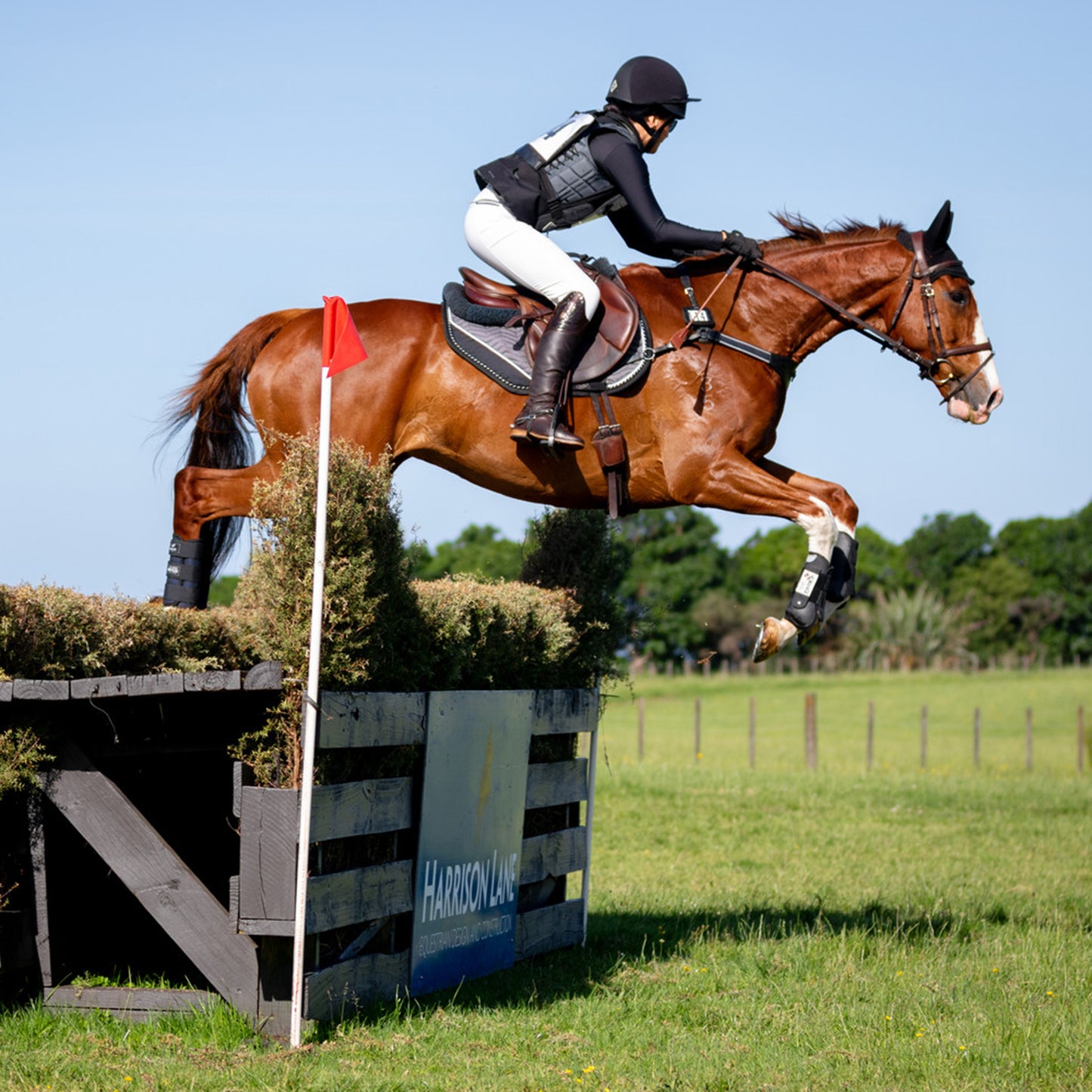 Jump + Pole Lessons