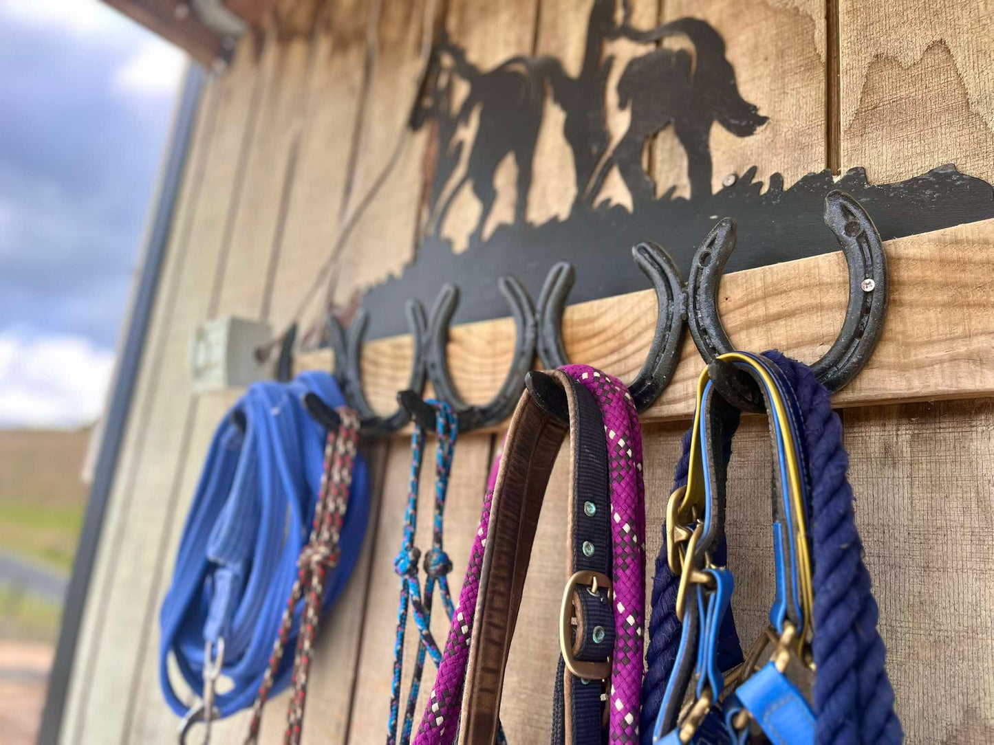 Horse shoe halter rack