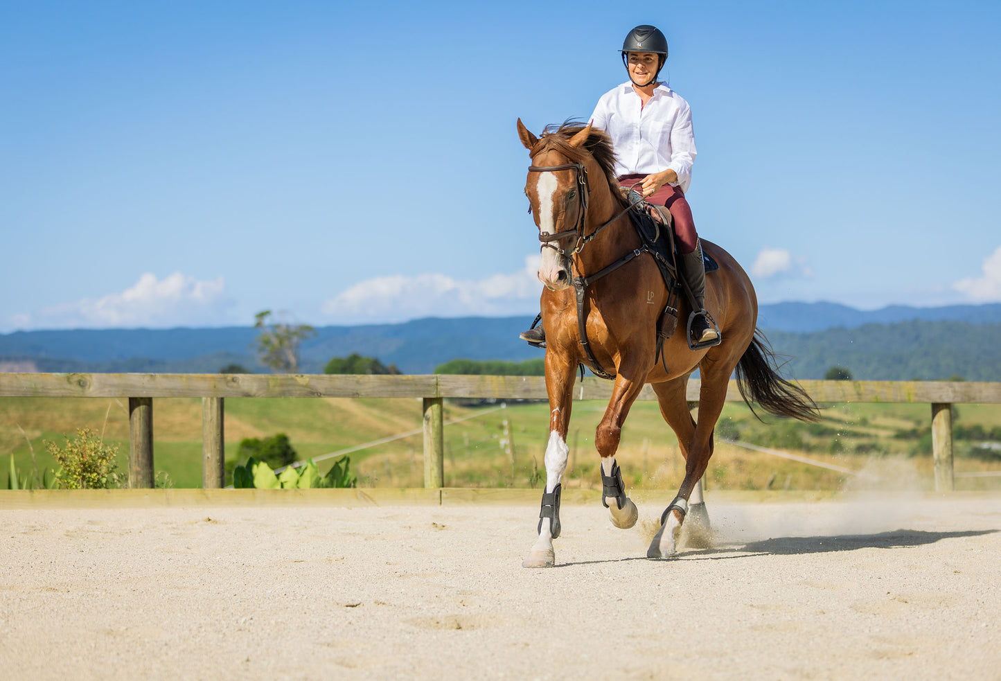 Combo Lesson - Horsemanship & Riding