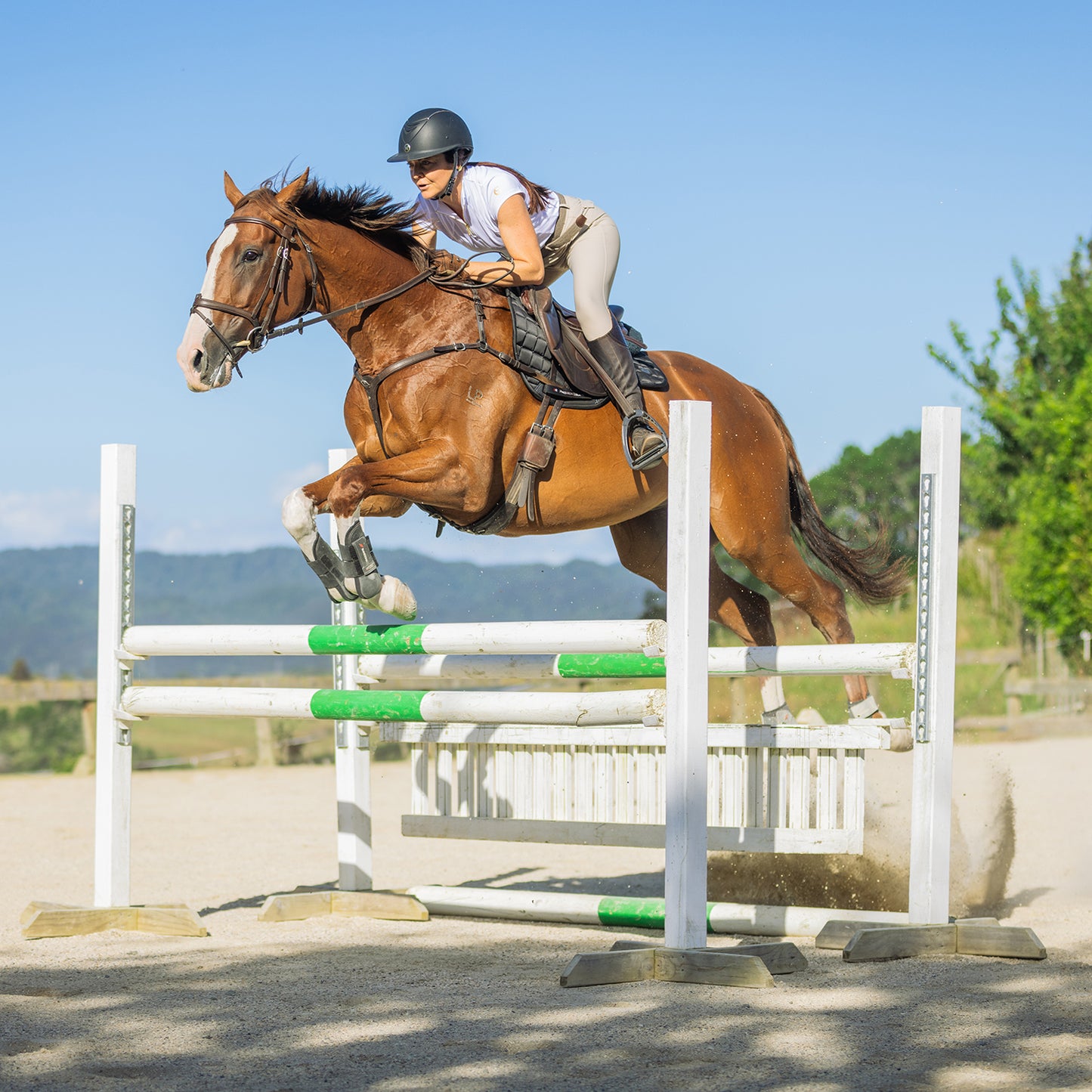 Jump + Pole Lessons