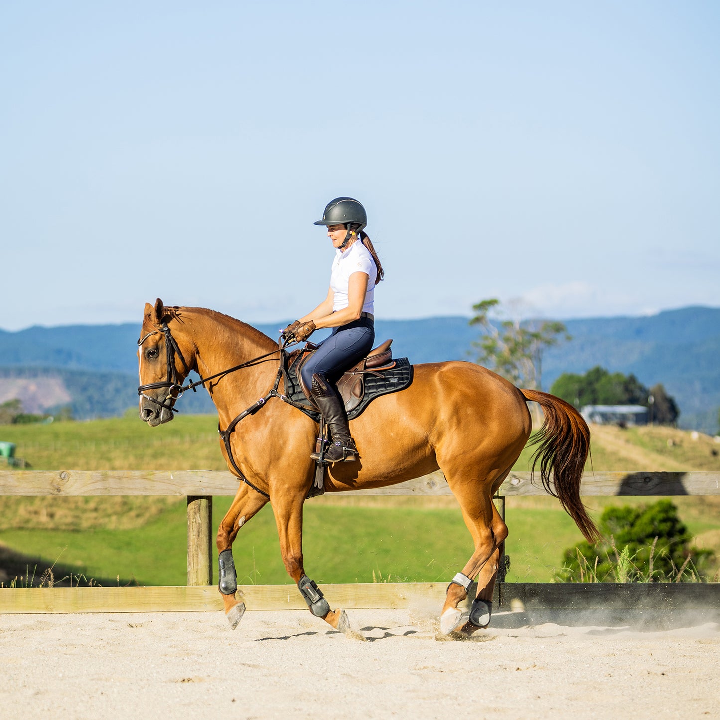 Flatwork Lesson