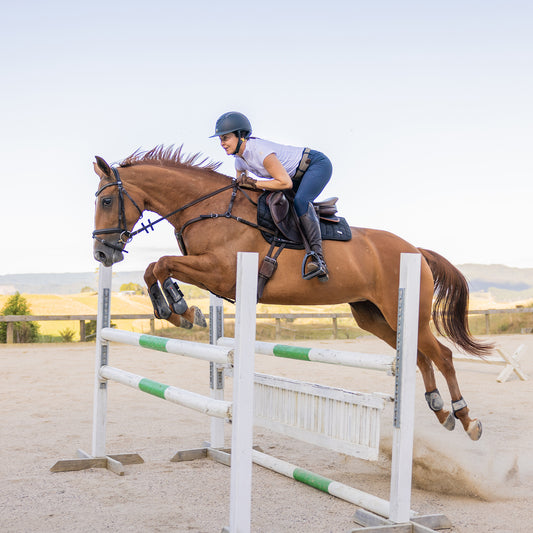 Jump + Pole Lessons