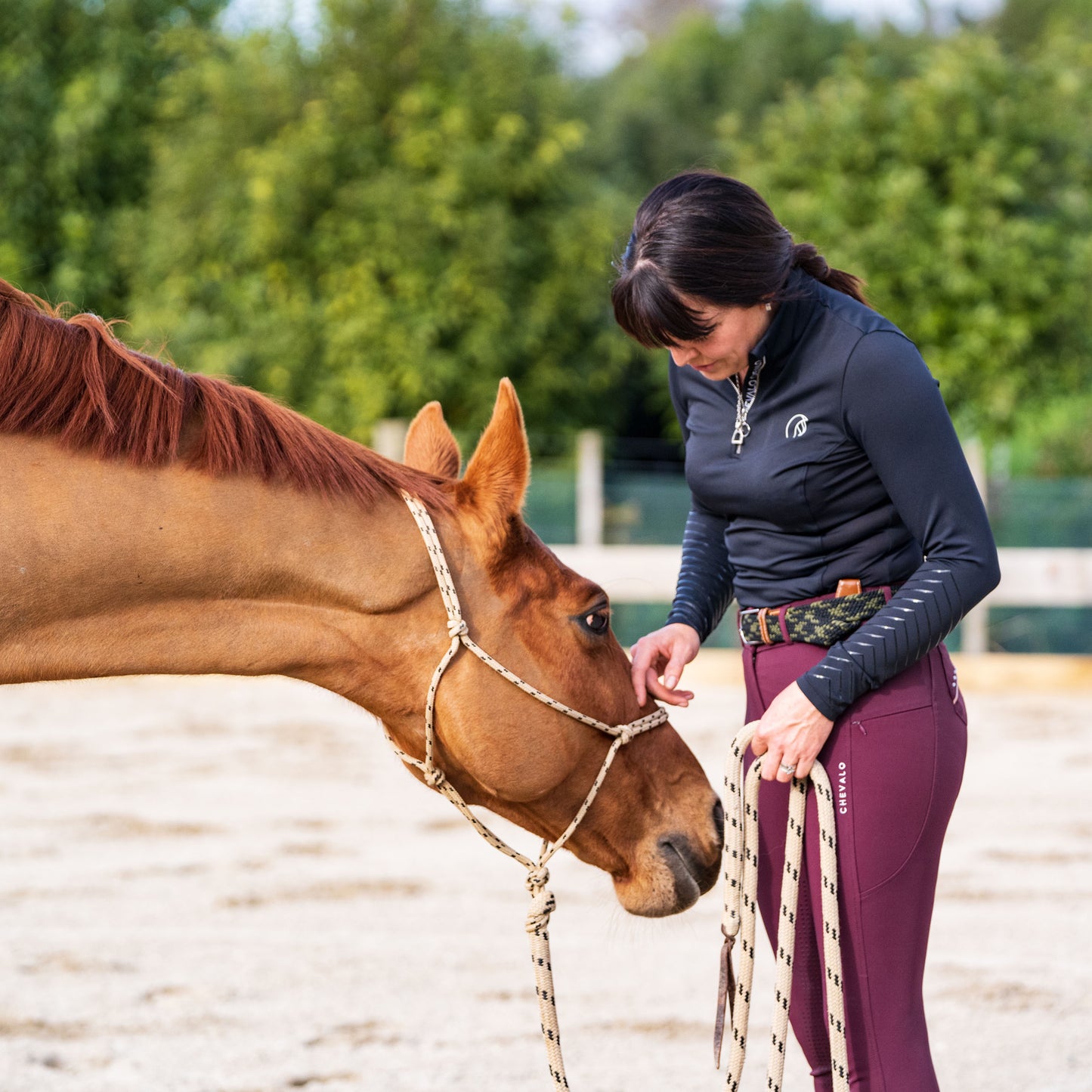 Combo Lesson - Horsemanship & Riding