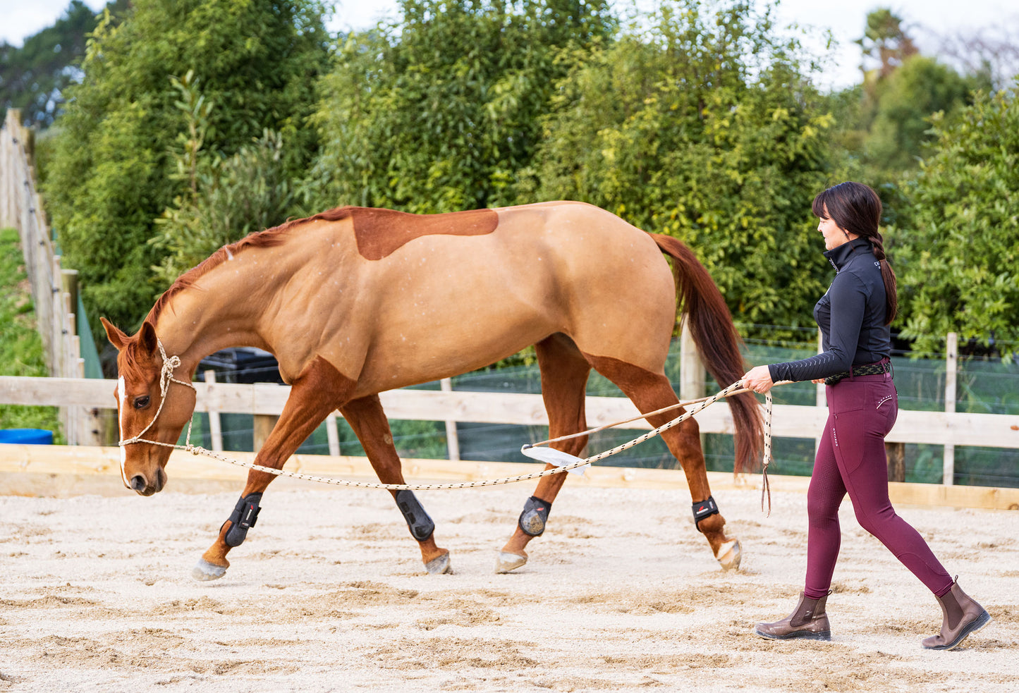 Combo Lesson - Horsemanship & Riding