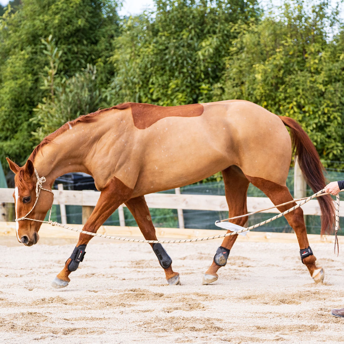 Winter Horsemanship Clinic - Saturday 2 August