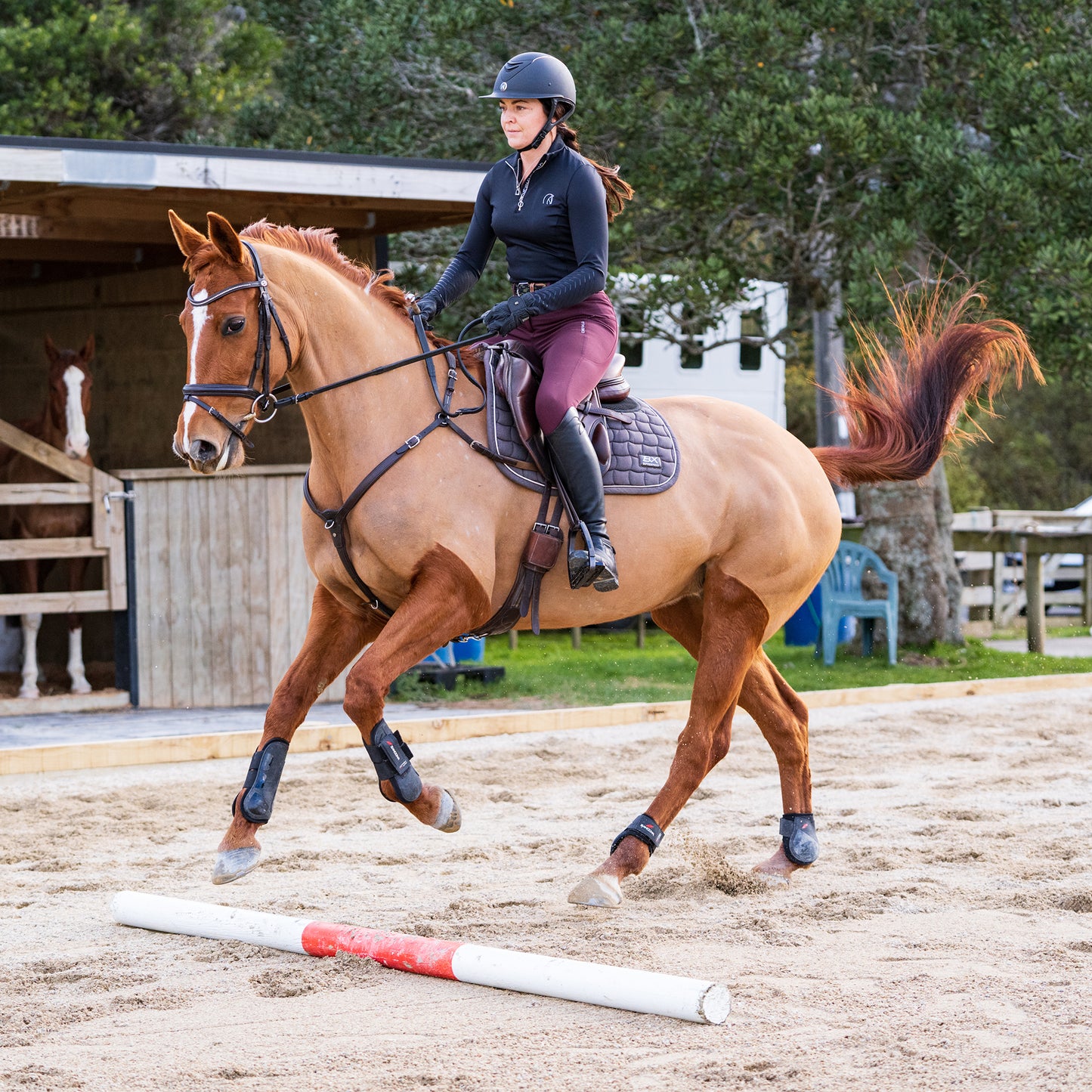 Jump + Pole Lessons