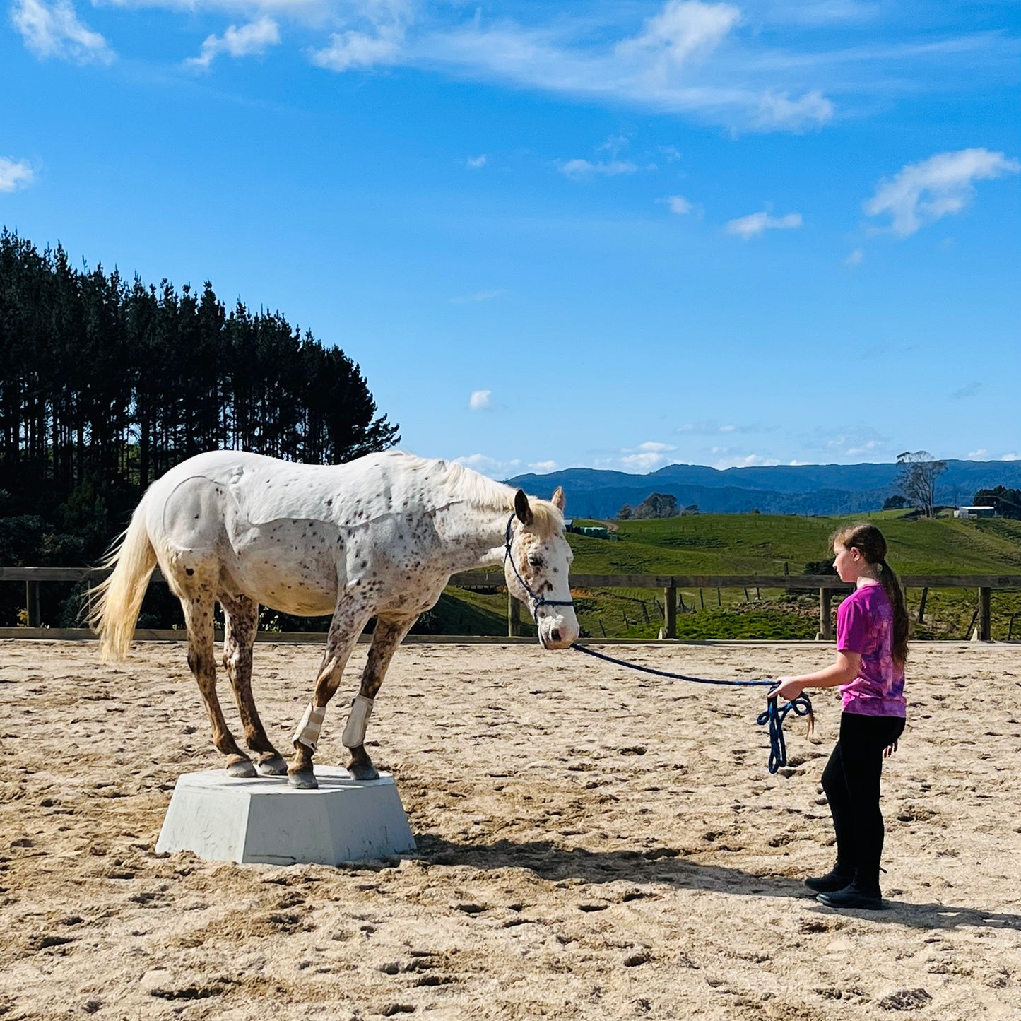 Combo Lesson - Horsemanship & Riding