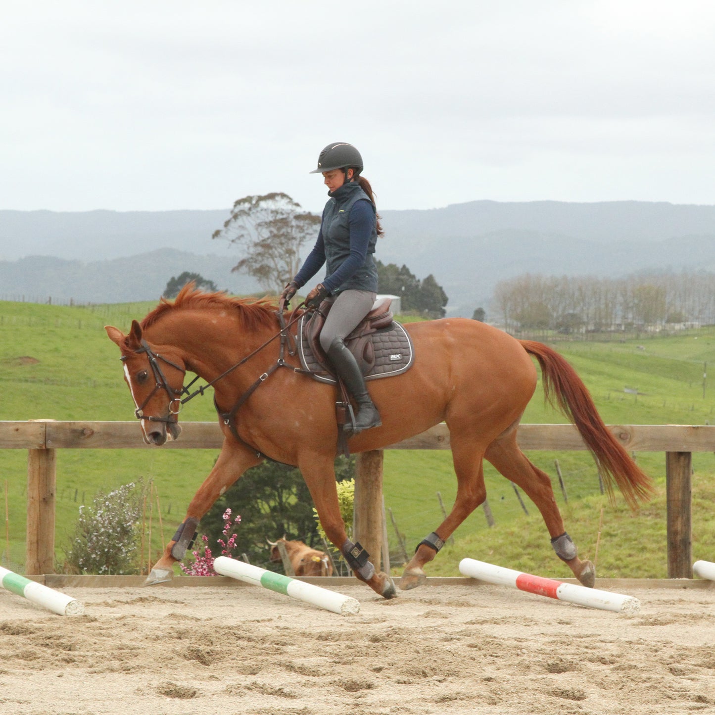 Polework & Gymnastics Clinic - Sunday 7th June