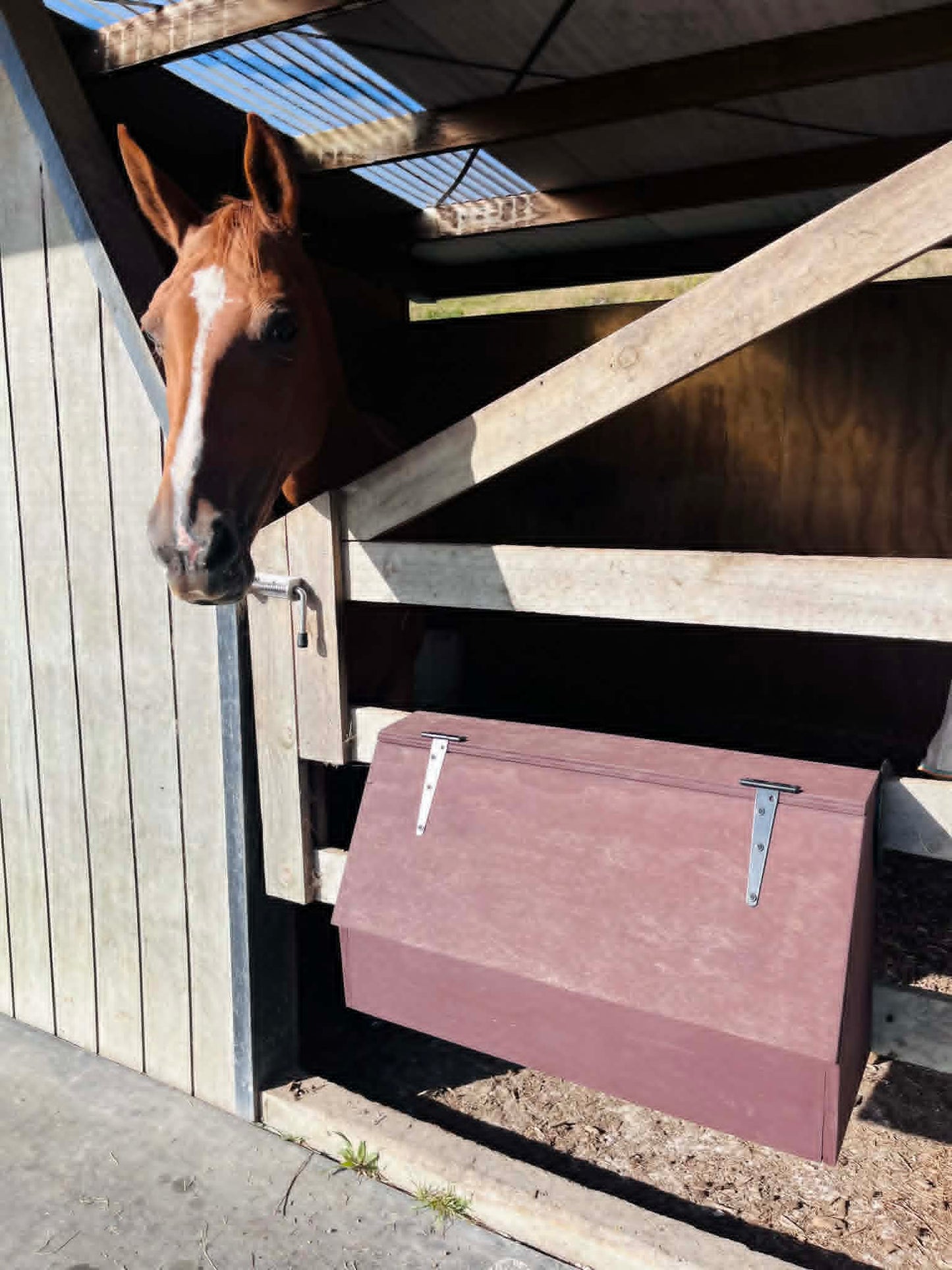 Wooden Grooming Box