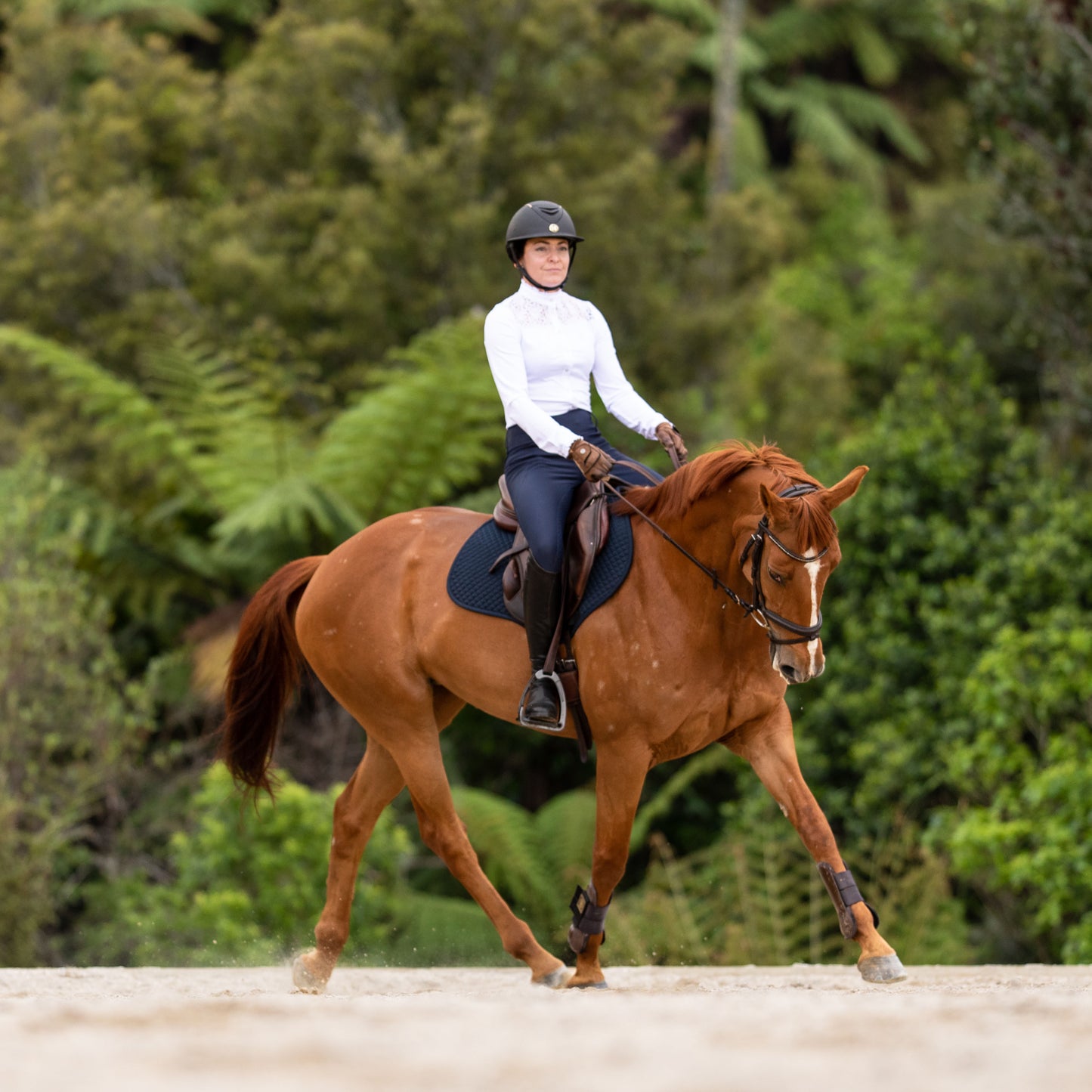 Flatwork Lesson