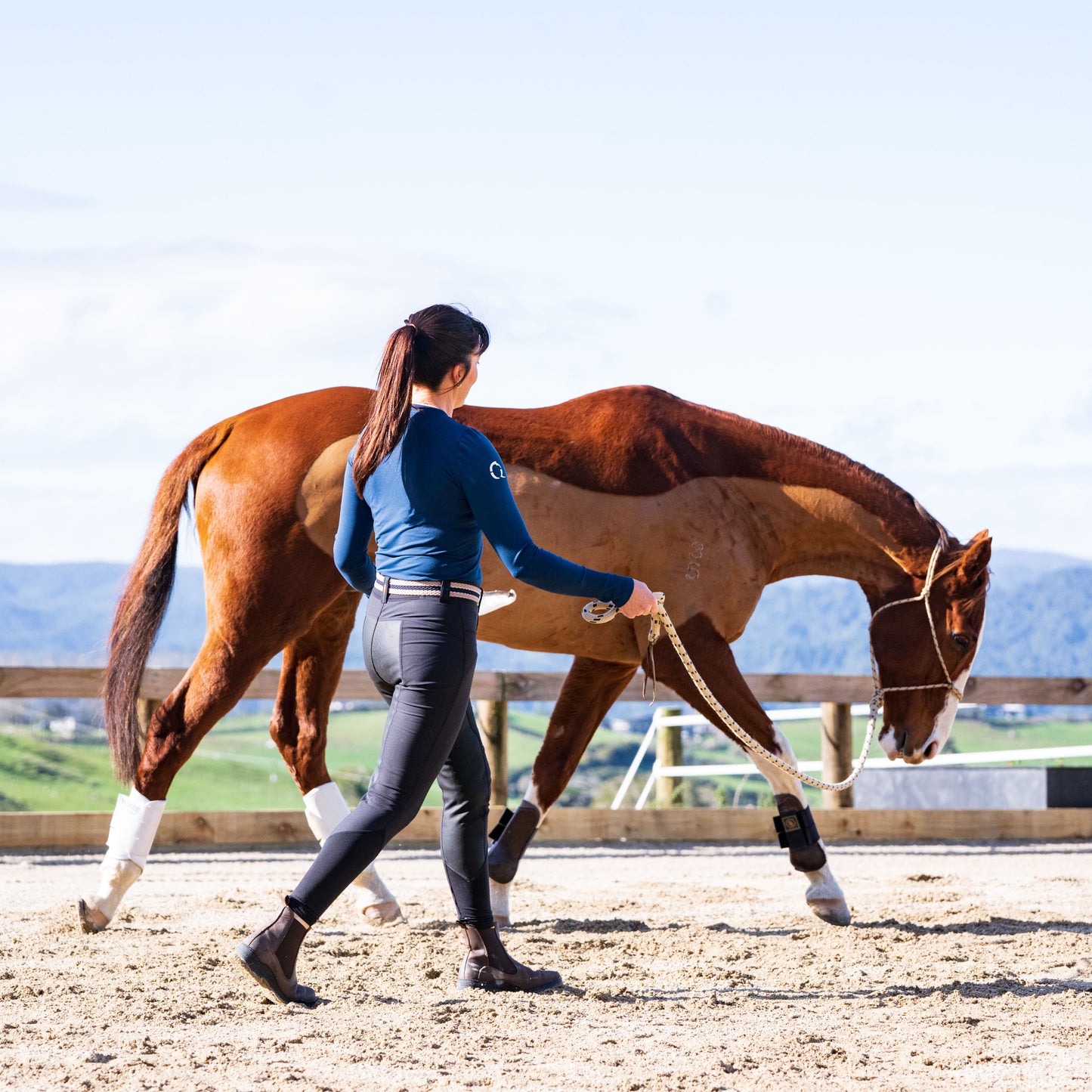 Combo Lesson - Horsemanship & Riding