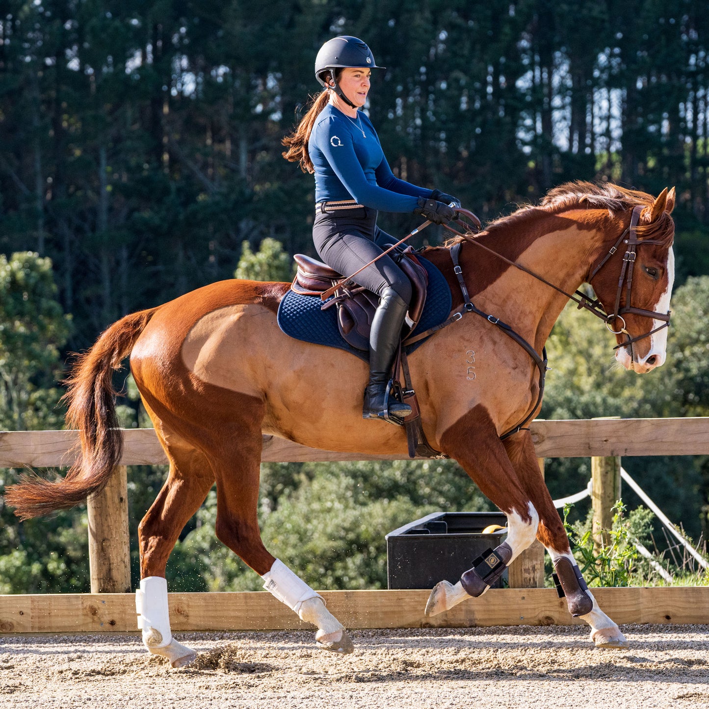 Flatwork Lesson