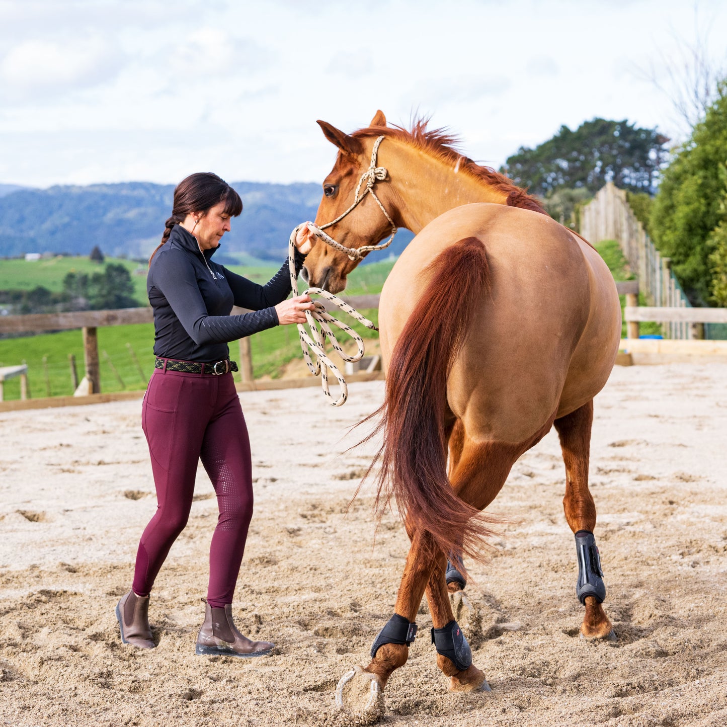 Combo Lesson - Horsemanship & Riding