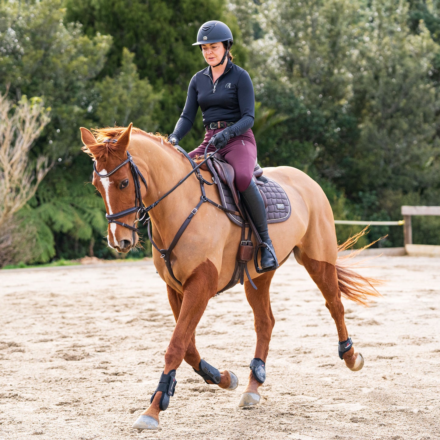 Flatwork Lesson