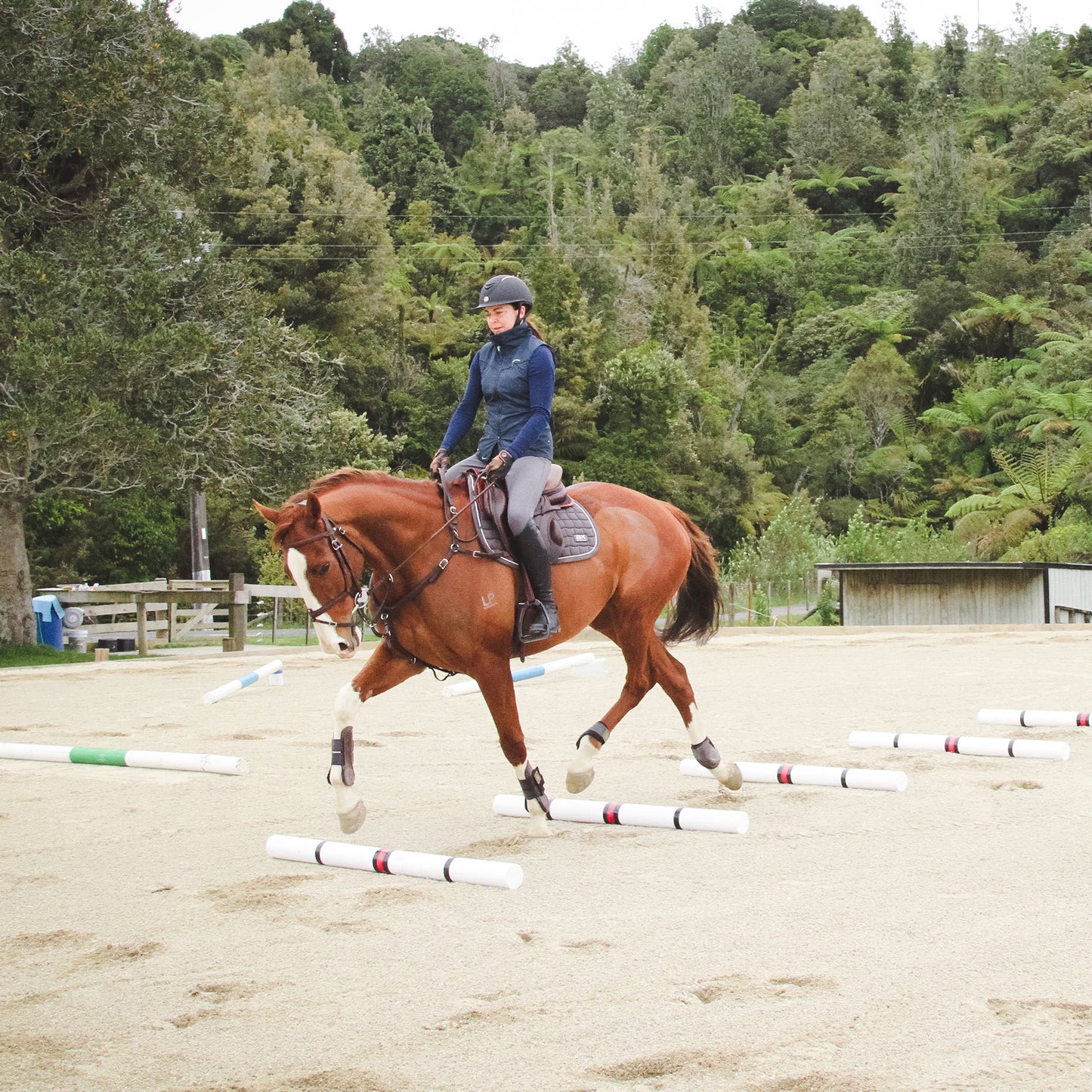 Jump + Pole Lessons