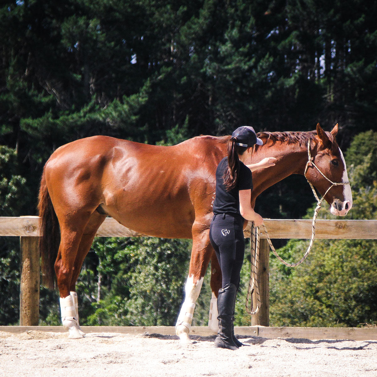 Horsemanship Lesson