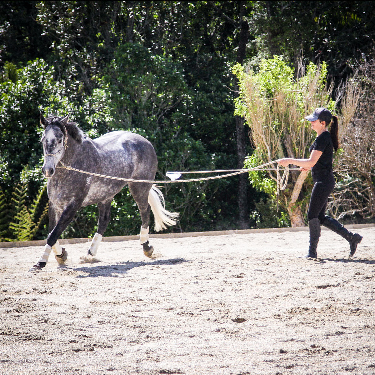 Combo Lesson - Horsemanship & Riding