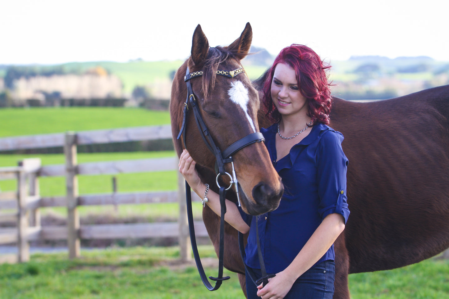 Equine Portrait Photoshoot