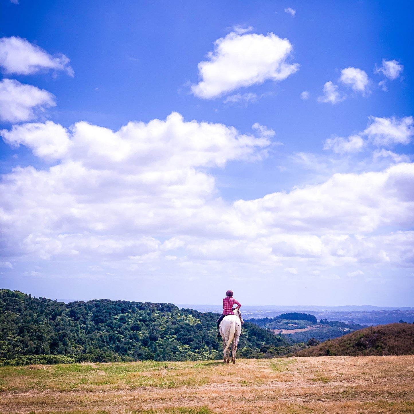 Guided fitness trails