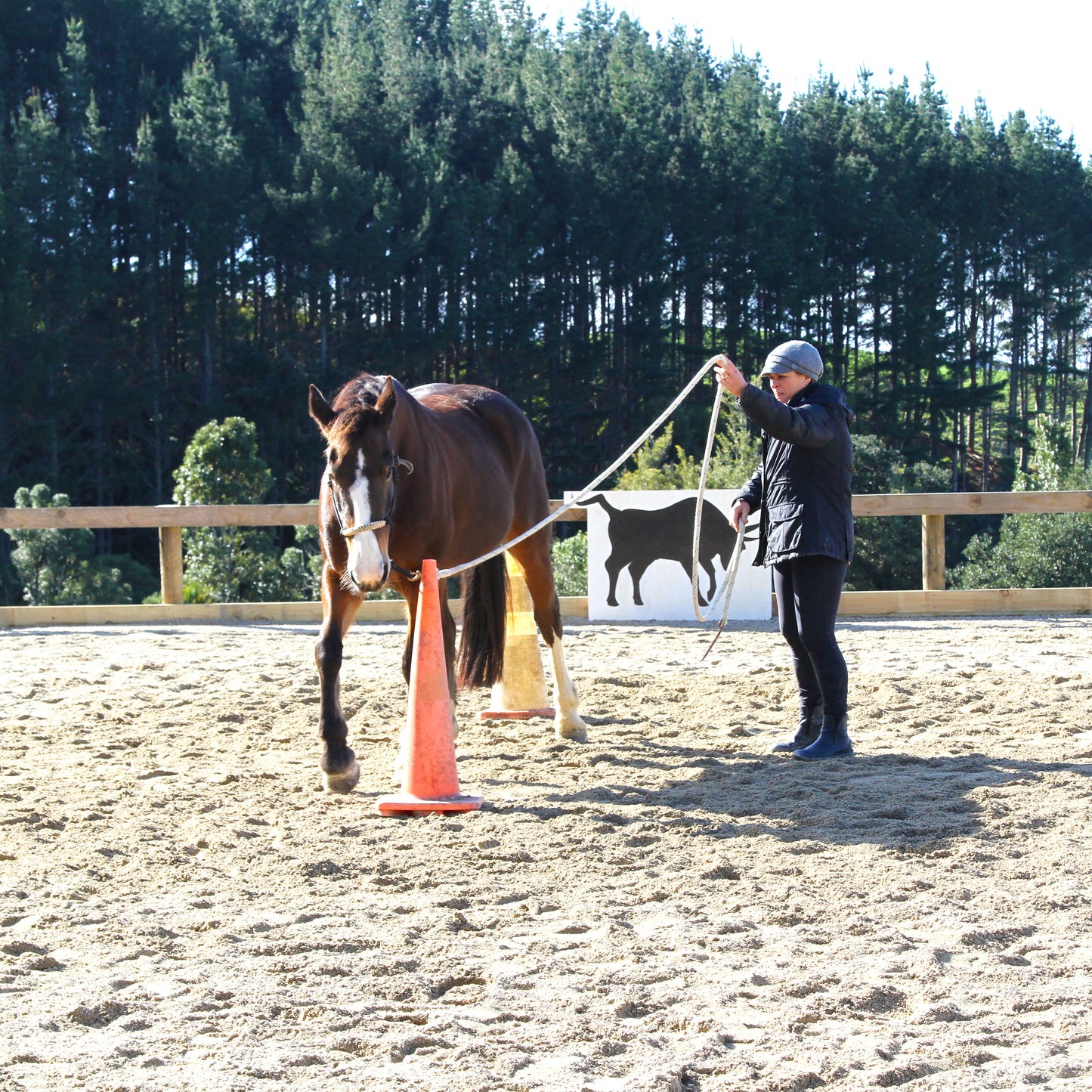 Summer Horsemanship clinic - 25 January