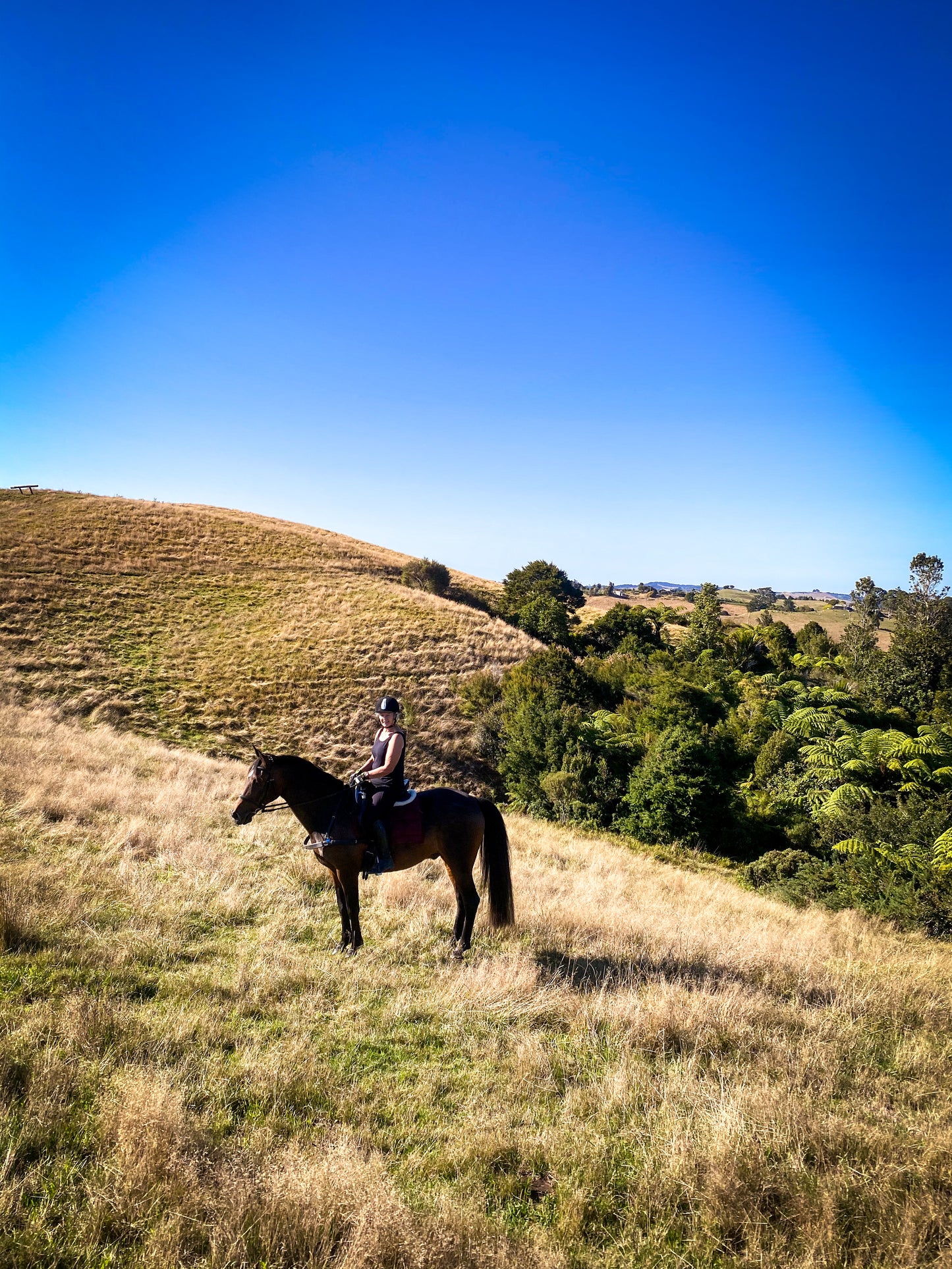 Guided fitness trails