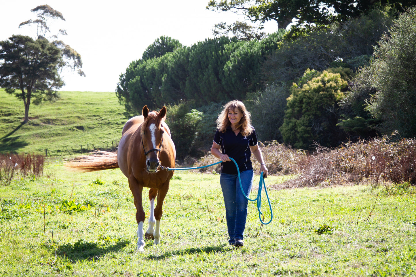 Equine Portrait Photoshoot