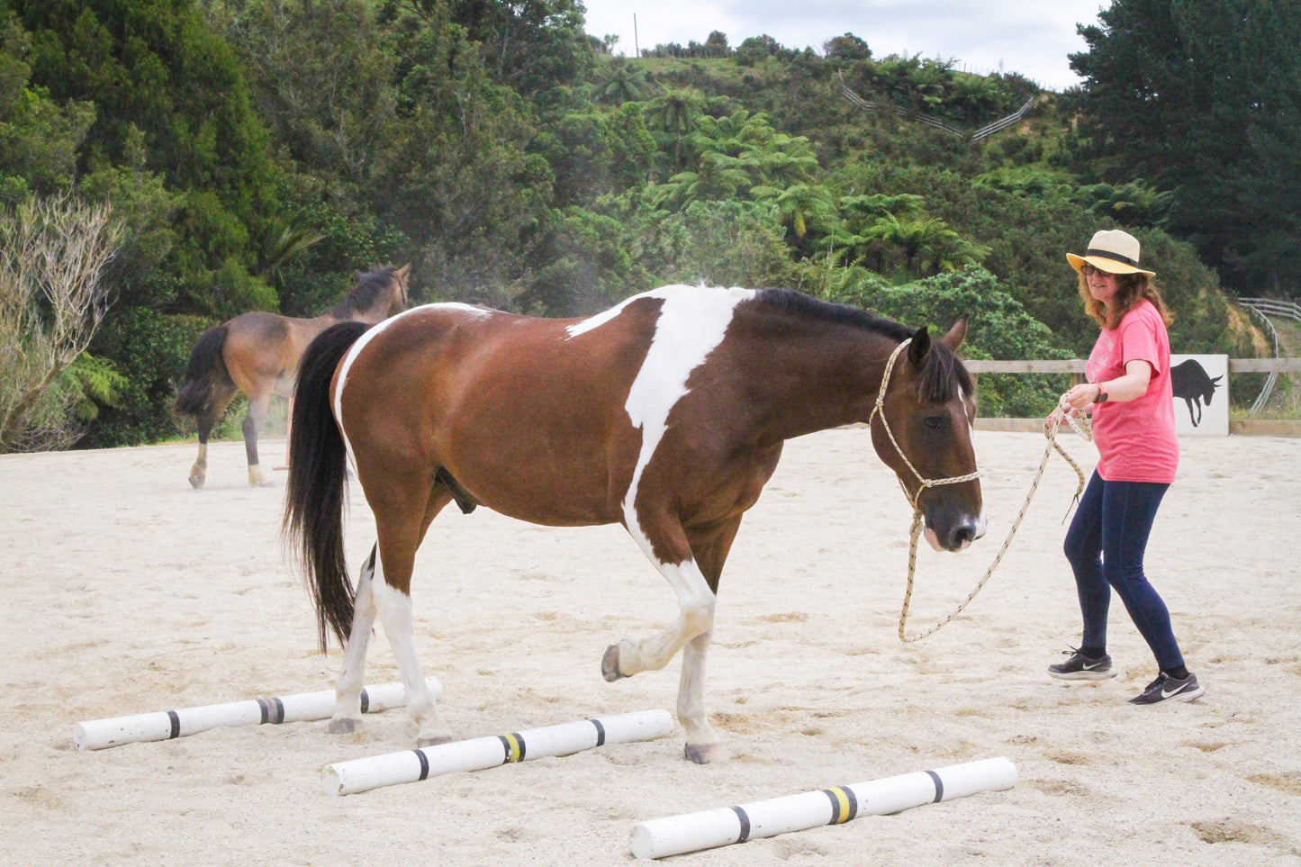 Summer Horsemanship clinic - 25 January