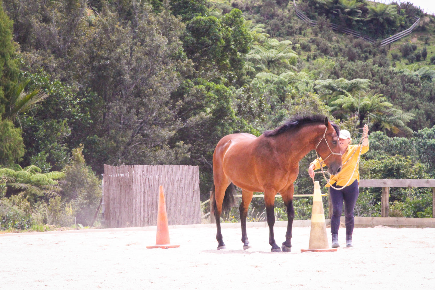 Summer Horsemanship clinic - 25 January