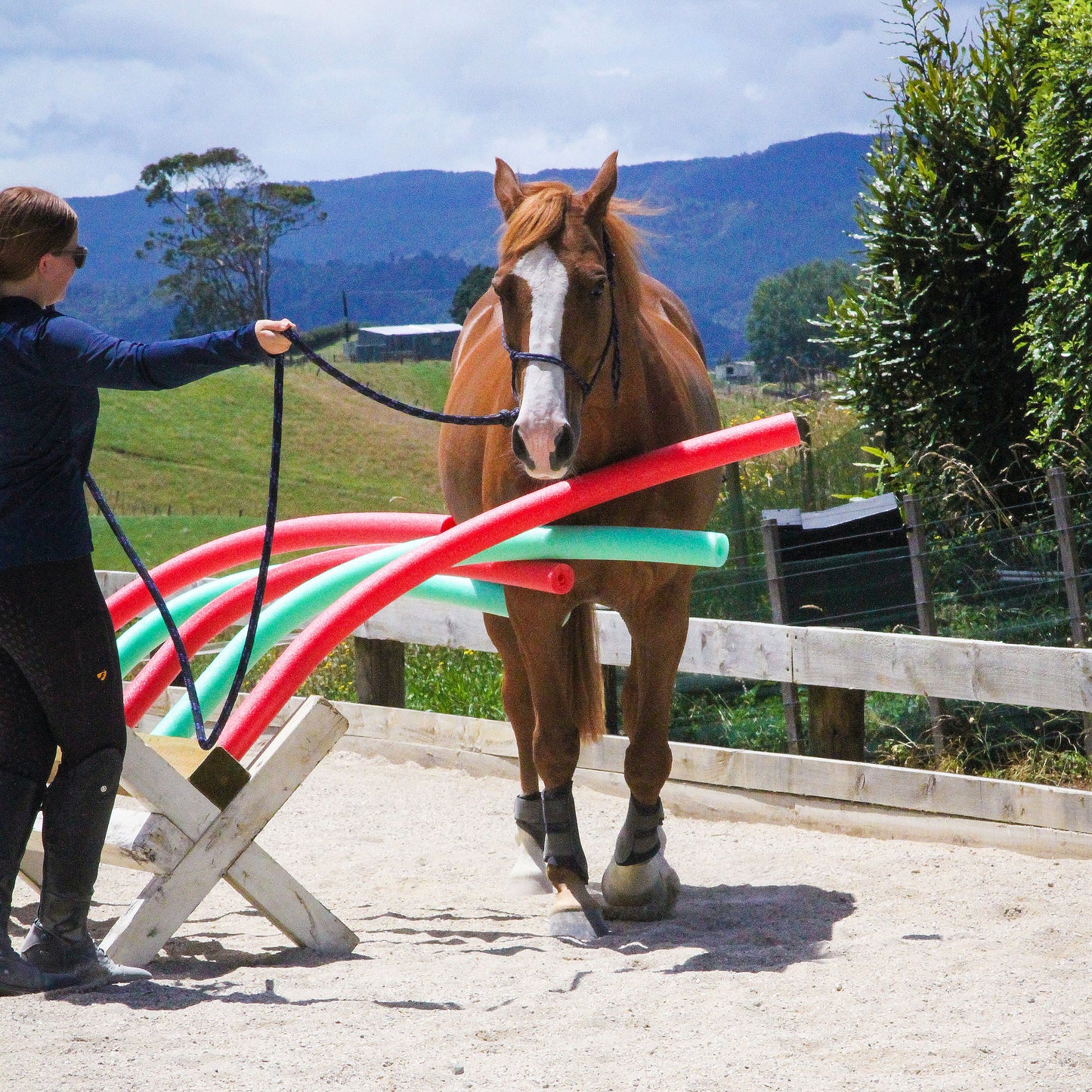 Summer Horsemanship clinic - 25 January