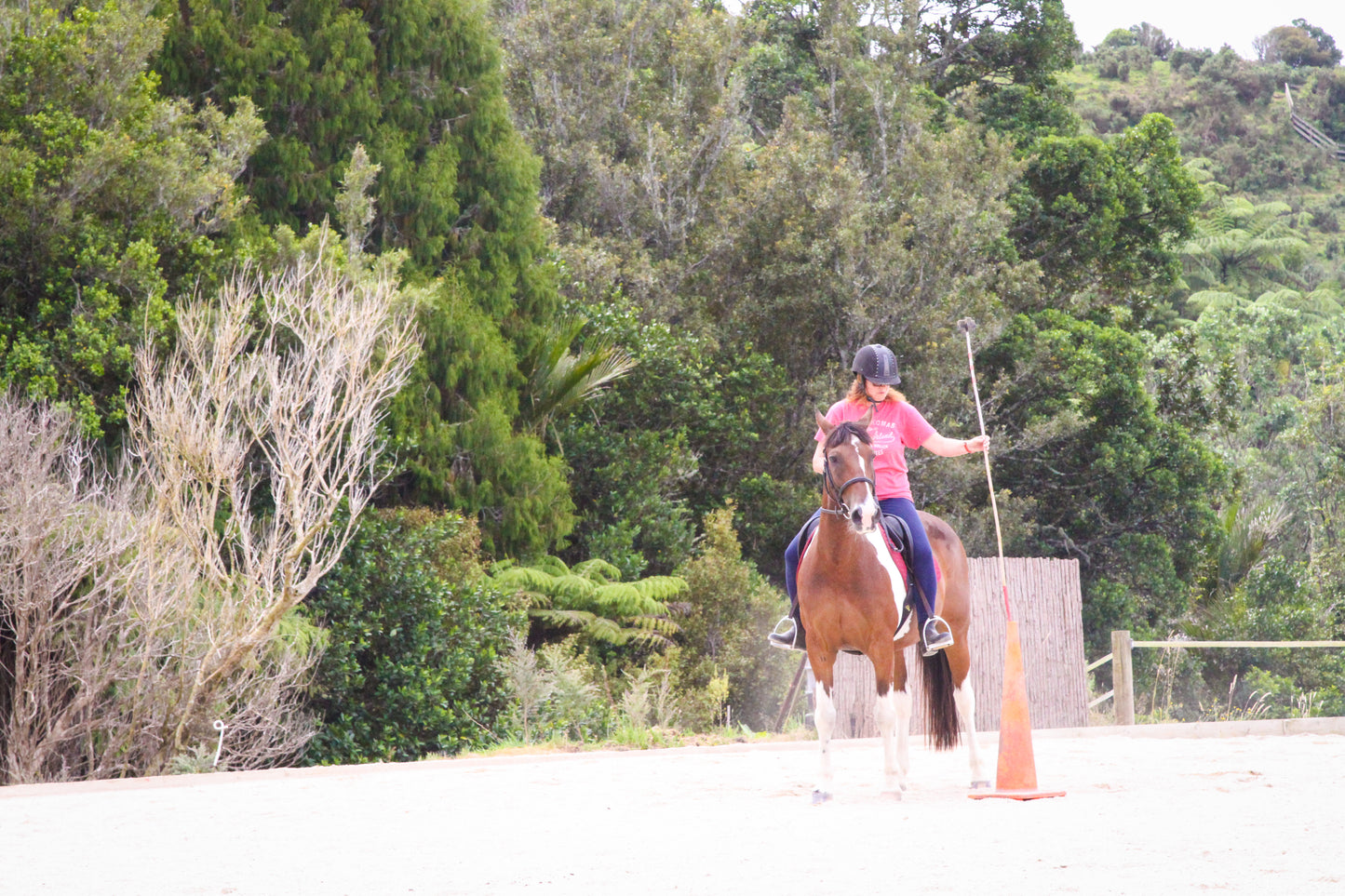 Summer Horsemanship clinic - 25 January