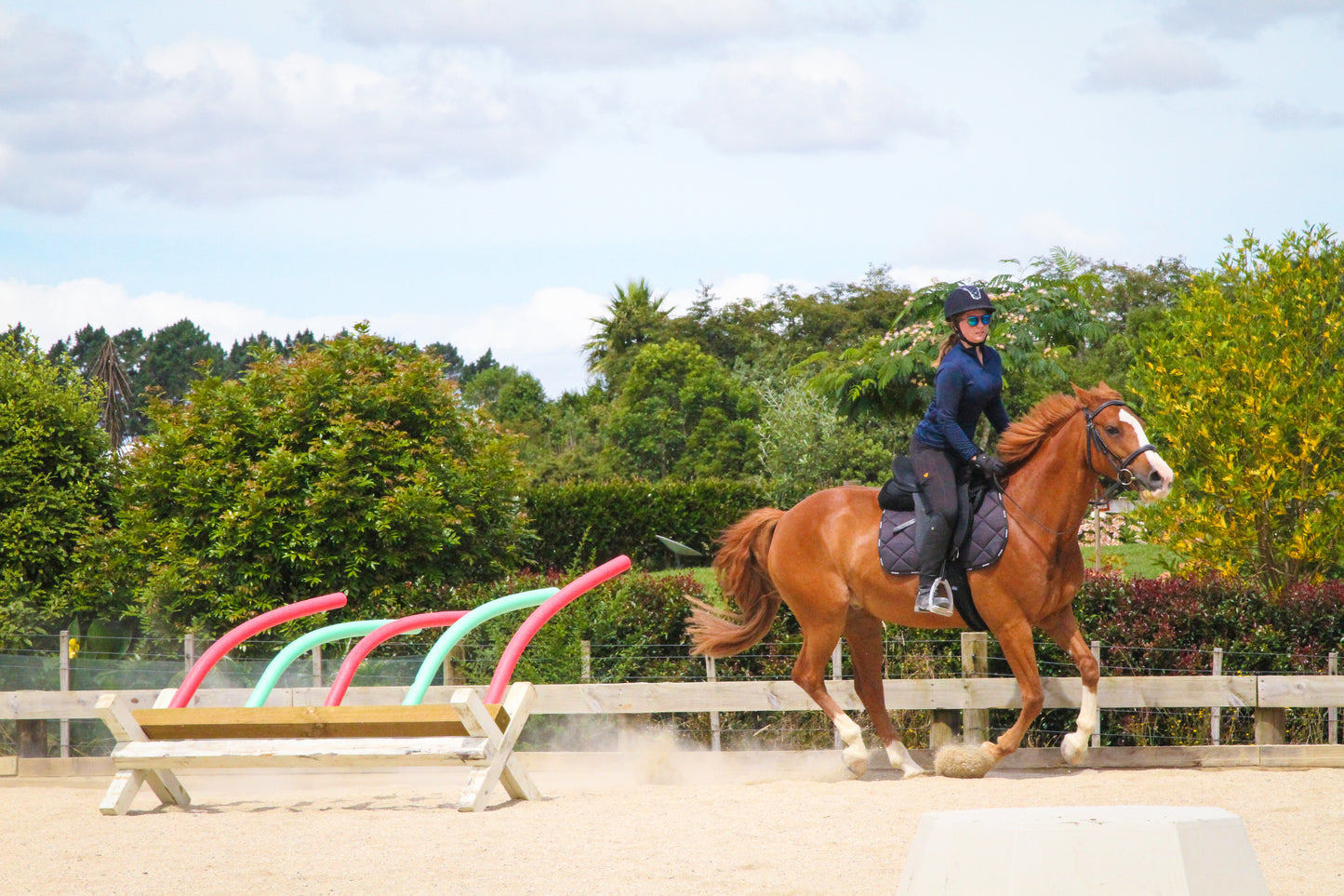 Summer Horsemanship clinic - 25 January