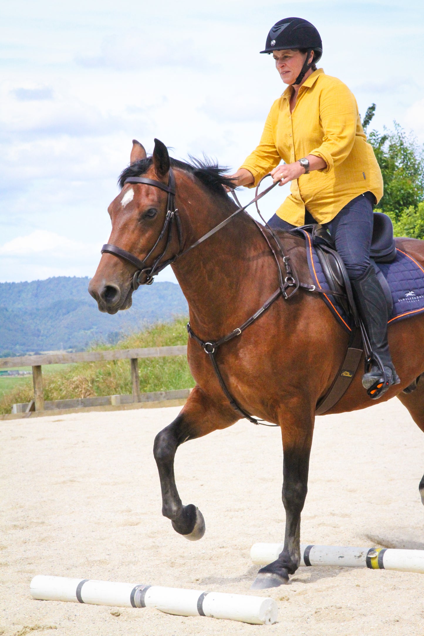 Summer Horsemanship clinic - 25 January