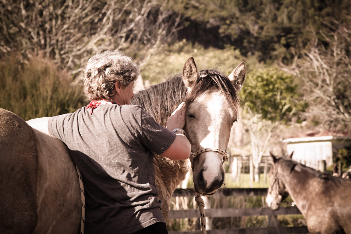 Candid Equestrian Photoshoot