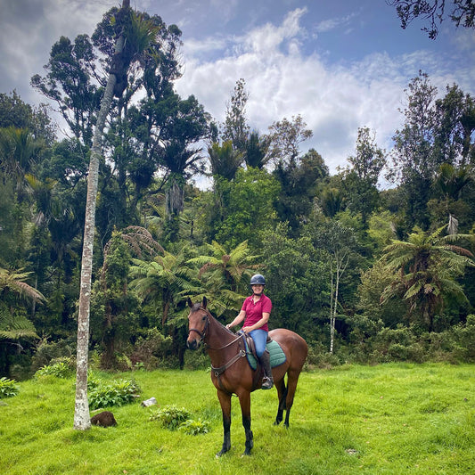 Summer Horsemanship clinic - 25 January