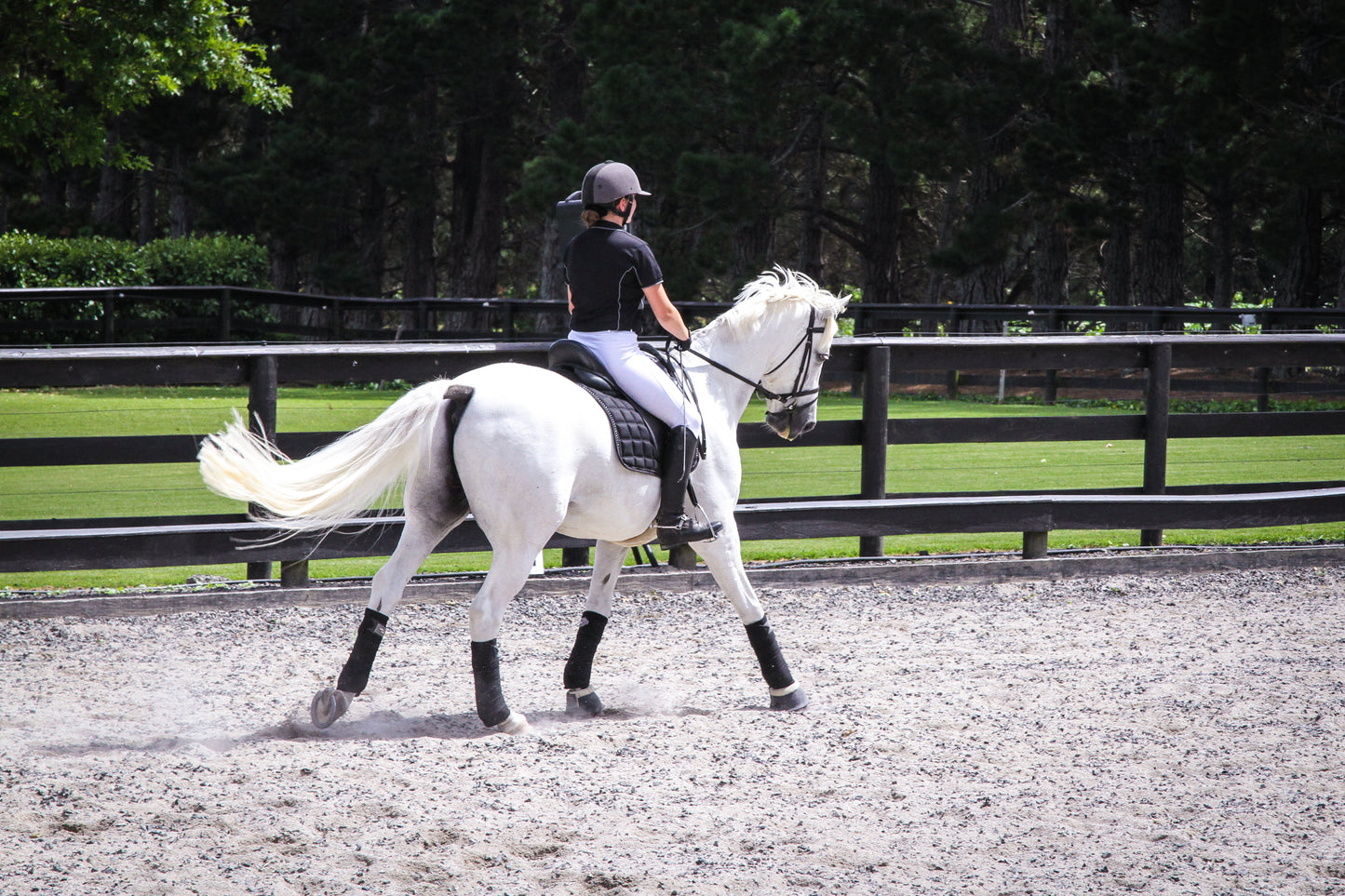 Candid Equestrian Photoshoot