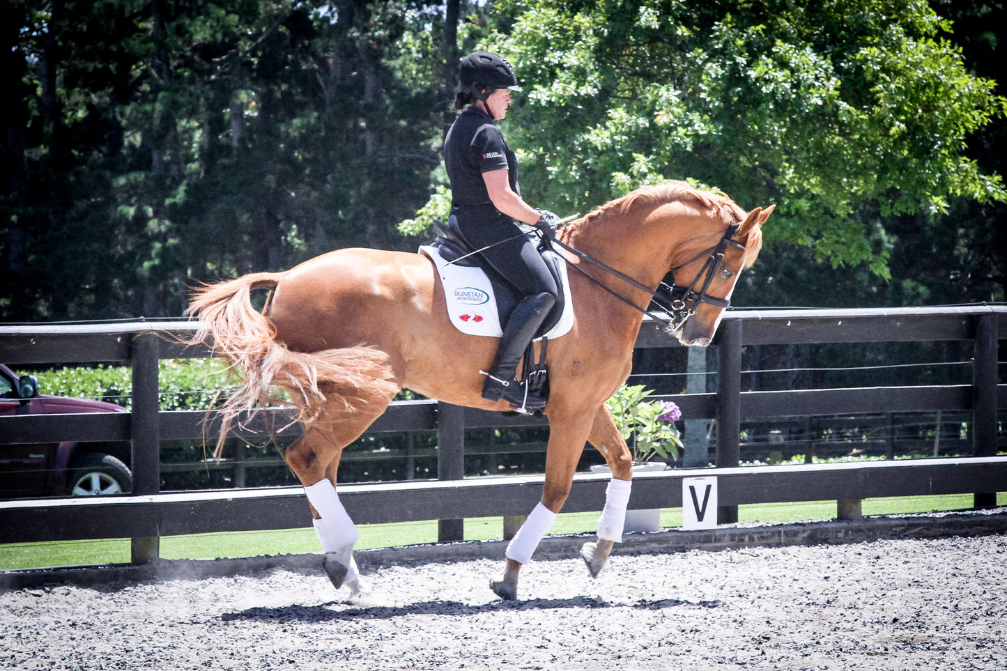 Candid Equestrian Photoshoot