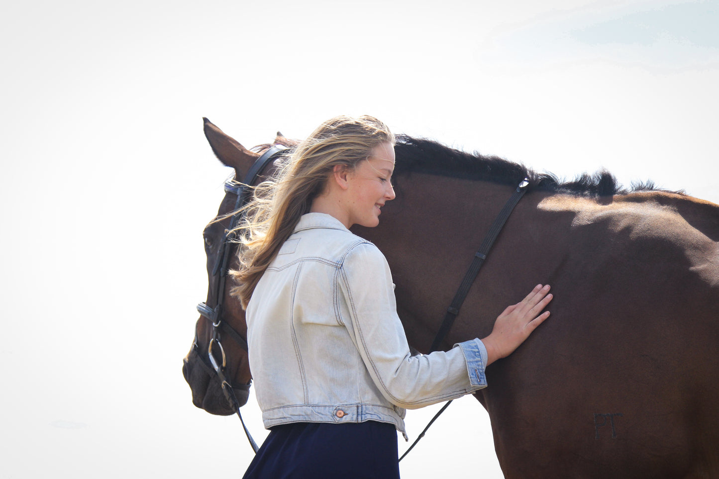 Equine Portrait Photoshoot