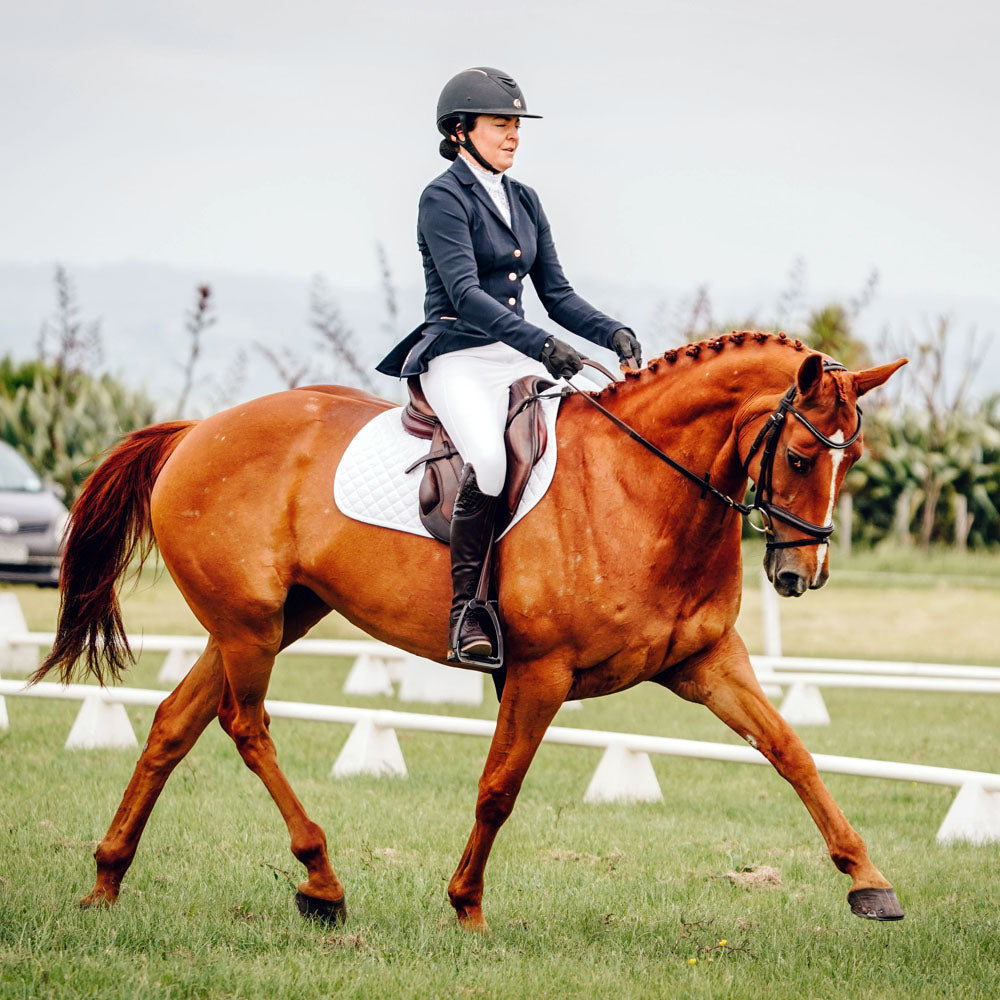 Flatwork Lesson